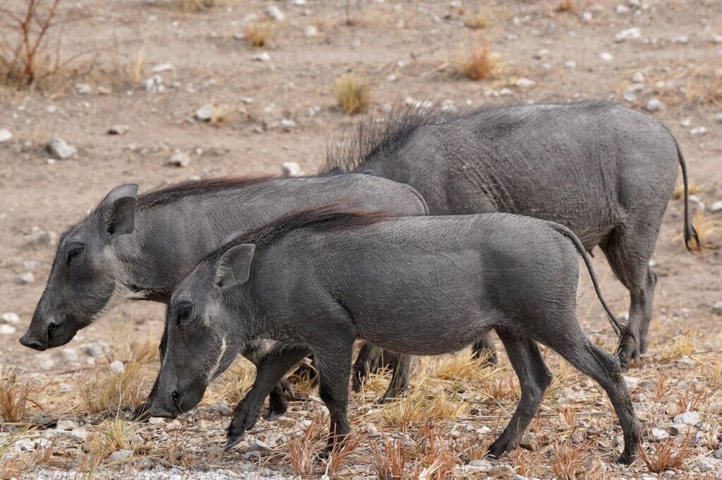 家でラク痩せするために変化が出るまで何日かかるの？