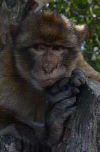 二の腕のむくみを解消するためのマッサージ方法は？