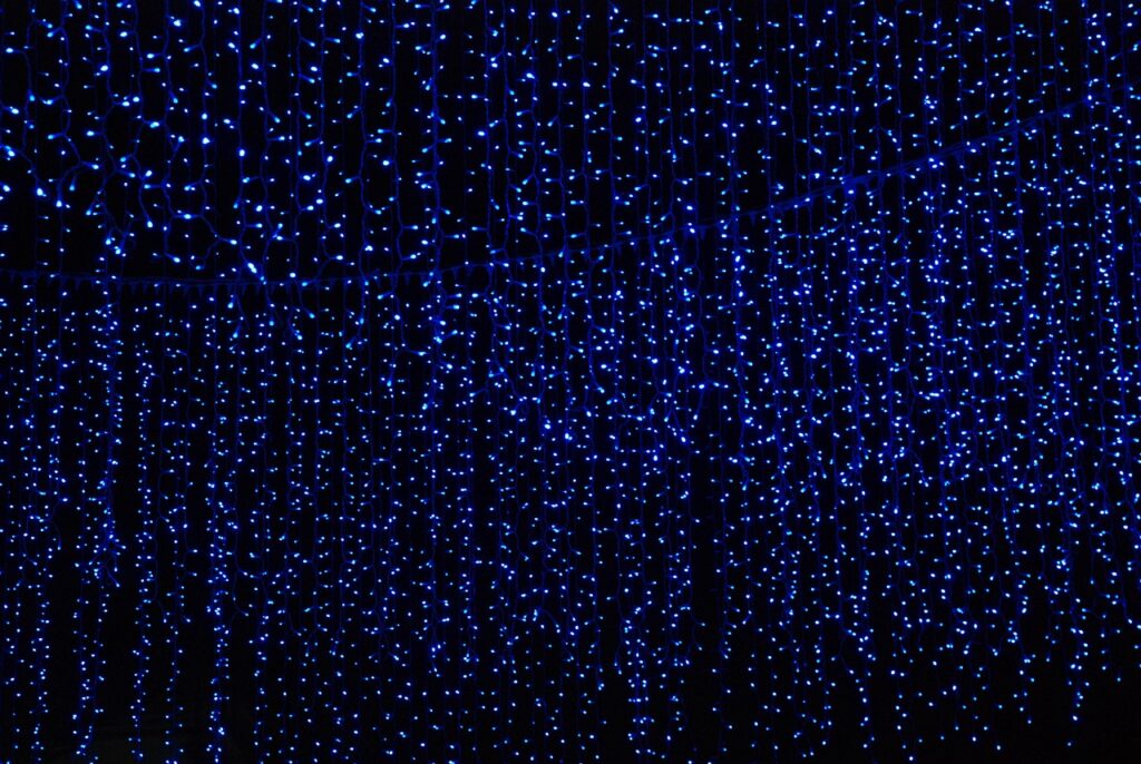 注目のダイエット法2024とはどのようなものですか？