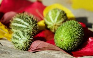 ダンス動画で消費カロリーを効率的に減らす方法は？