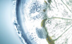 家でラク痩せできる炭酸水ダイエットの効果は？